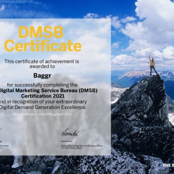 DMSB Certificate 2021 - BAGGR NL